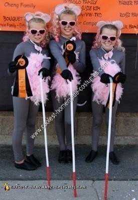 Coolest Homemade Three Blind Mice Costumes