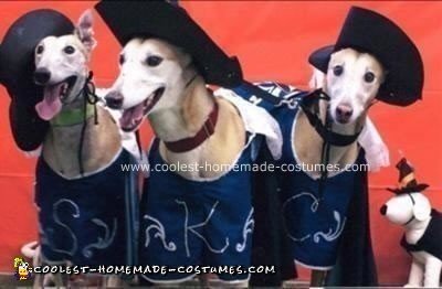 Coolest Homemade Three Muttsketeers Dog Costume - Dog Halloween Costume Ideas