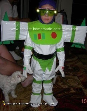 Homemade Toy Story Group Costumes