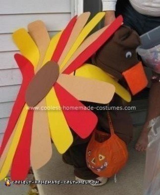 Homemade Turkey Costume