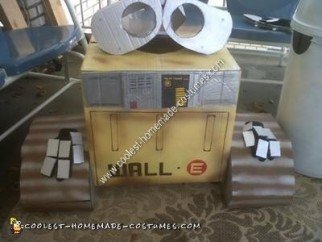 Homemade Wall E and Eve Halloween Costumes