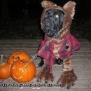 Homemade Werewolf Dog Halloween Costume Idea