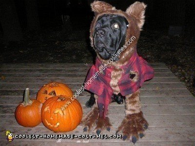 Homemade Werewolf Dog Halloween Costume Idea