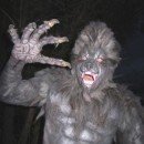 Homemade Werewolf Halloween Costume