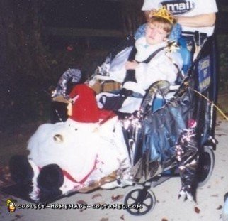 Homemade White Witch (Queen of Narnia) Wheelchair Costume