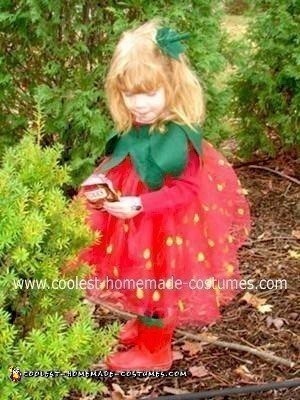 Homemade Wild Strawberry Costume