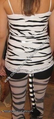Homemade Zebra Adult Costume Idea