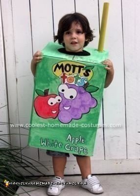 Homemade Juice Box Costume