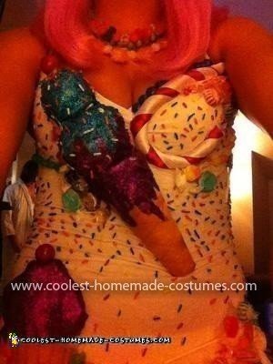 Homemade Katy Perry Costume