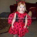 Coolest Ladybug Costume 7