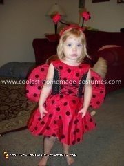 Coolest Ladybug Costume 7