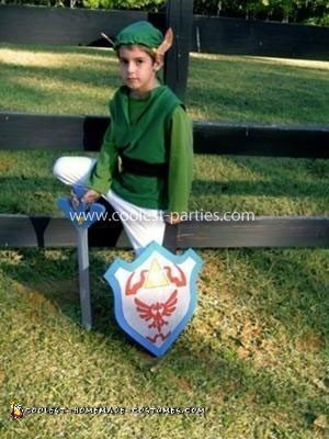 Homemade Link Costume