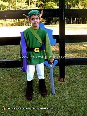 Homemade Link Costume