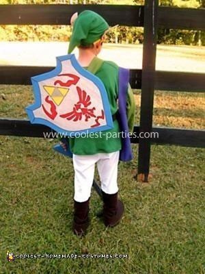 Homemade Link Costume