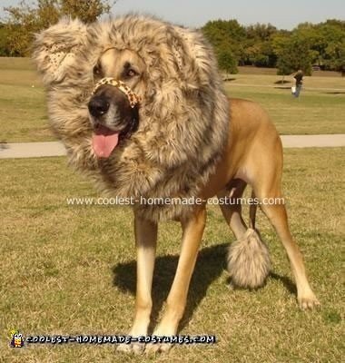 Lion Costume