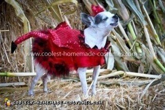 Coolest Little Red Devil Dog Costume