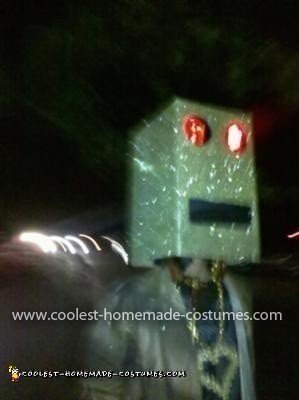 Coolest LMFAO Golden Robot Costume