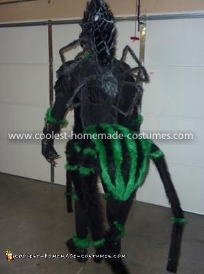 Homemade Man Spider Costume