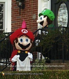 Mario and Luigi Costume