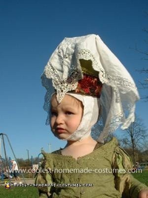 Coolest Medieval Lady Princess Costume