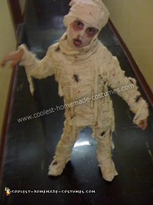 Mummy Costume Idea