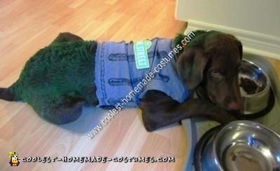 Oscar the Grouch Dog Homemade Halloween Costume Idea