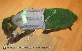 Oscar the Grouch Dog Homemade Halloween Costume Idea