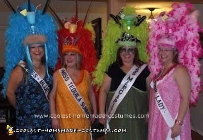 Homemade Pageant Contestant Costumes