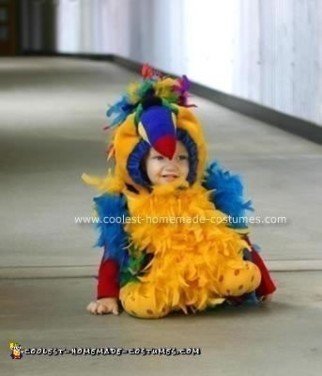 Homemade Parrot Bird Costume Design