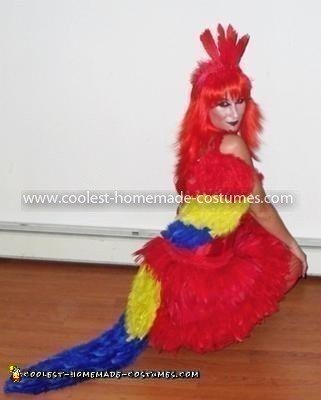 Homemade Parrot Costume