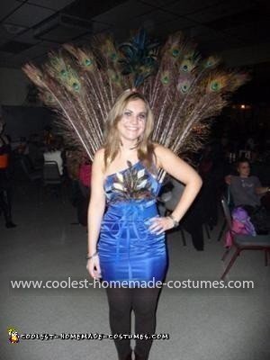 Homemade Peacock Costume