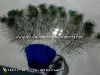 Coolest Peacock Costume - Front of tail