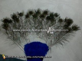 Coolest Peacock Costume - Back of tail