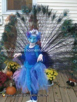 Homemade Peacock Costume