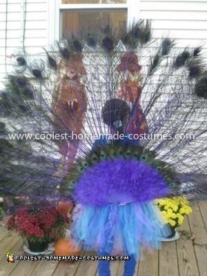 Homemade Peacock Costume