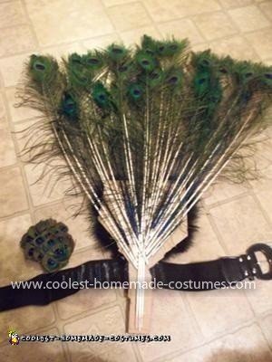 Homemade Peacock Costume