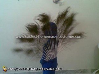 Coolest Peacock Costume Idea