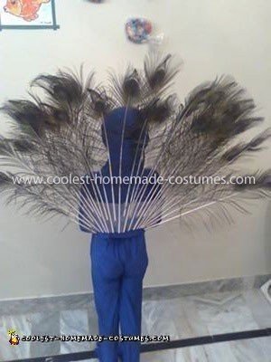 Coolest Peacock Costume Idea