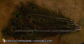 Homemade Peacock Costume Idea