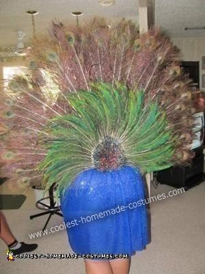 Peacock DIY Costume