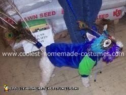 Peacock Dog Costume