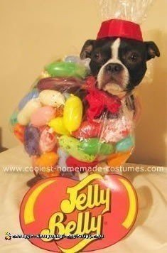 Coolest Jelly Belly Dog Costume - Dog Halloween Costume Ideas