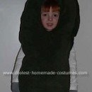 Homemade Pickle King Costume