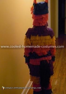 Homemade Pinata Costume