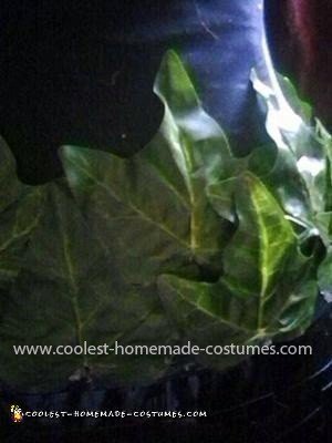 Homemade Poison Ivy Costume