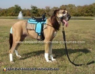 Coolest Pony Costume - Dog Halloween Costume Ideas