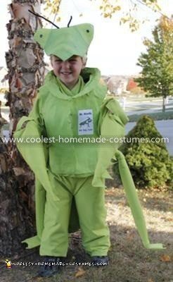 Homemade Praying Mantis Costume