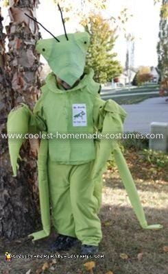 Homemade Praying Mantis Costume