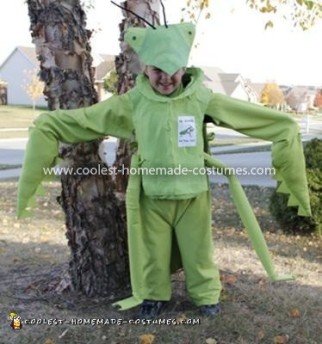 Homemade Praying Mantis Costume