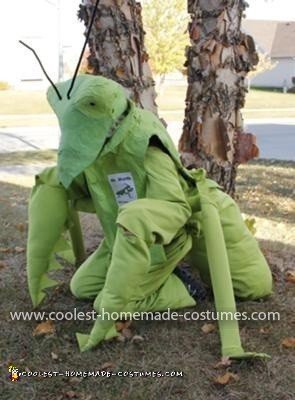 Homemade Praying Mantis Costume